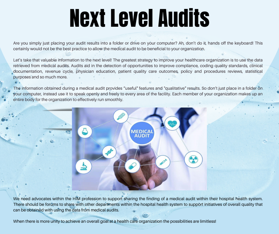 Next Level Audits
